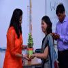 COSMOS 2016- The IISU Fest
